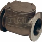 BAYCO Threaded End Standard Swing Check Valve_3000 Series